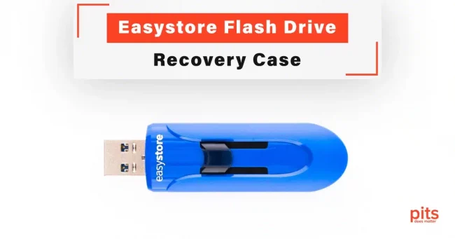 Easystore Flash Drive Recovery Case