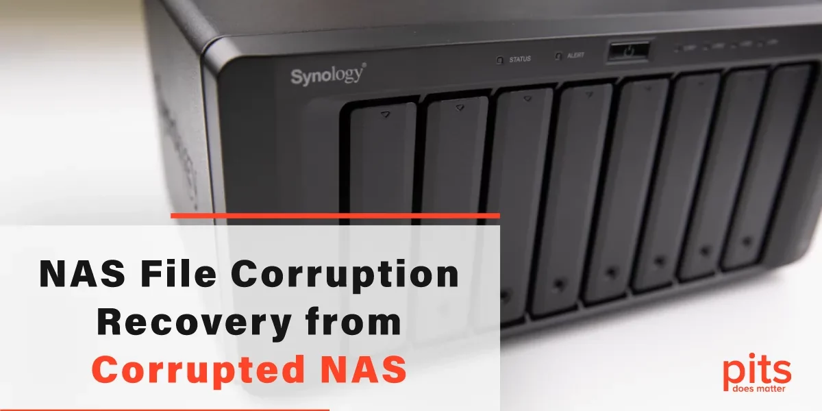 NAS File Corruption Recovery from Corrupted NAS