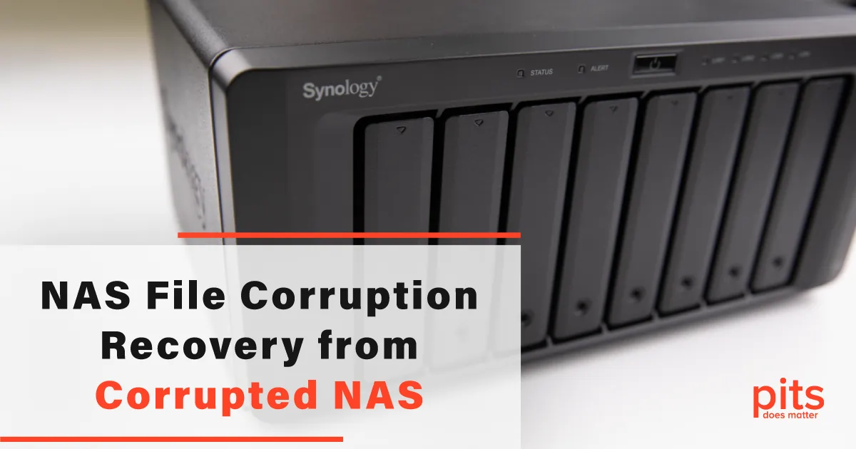 NAS File Corruption Recovery from Corrupted NAS