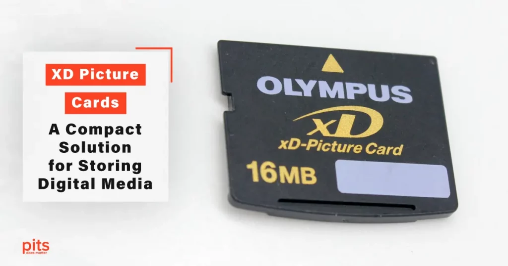 XD Picture Cards A Compact Solution for Storing Digital Media