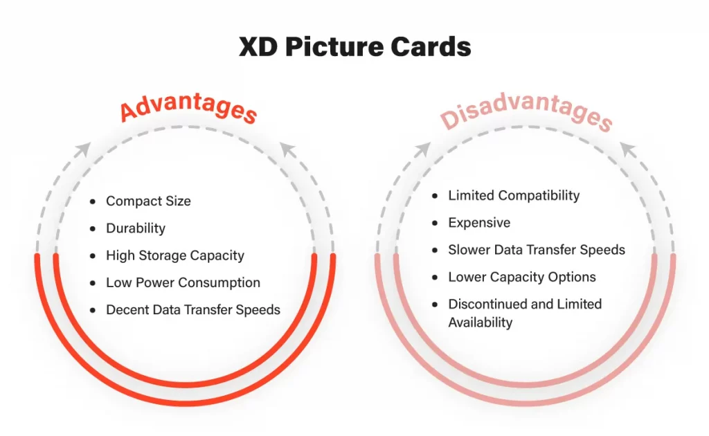 XD Picture Cards A Compact Solution for Storing Digital Media