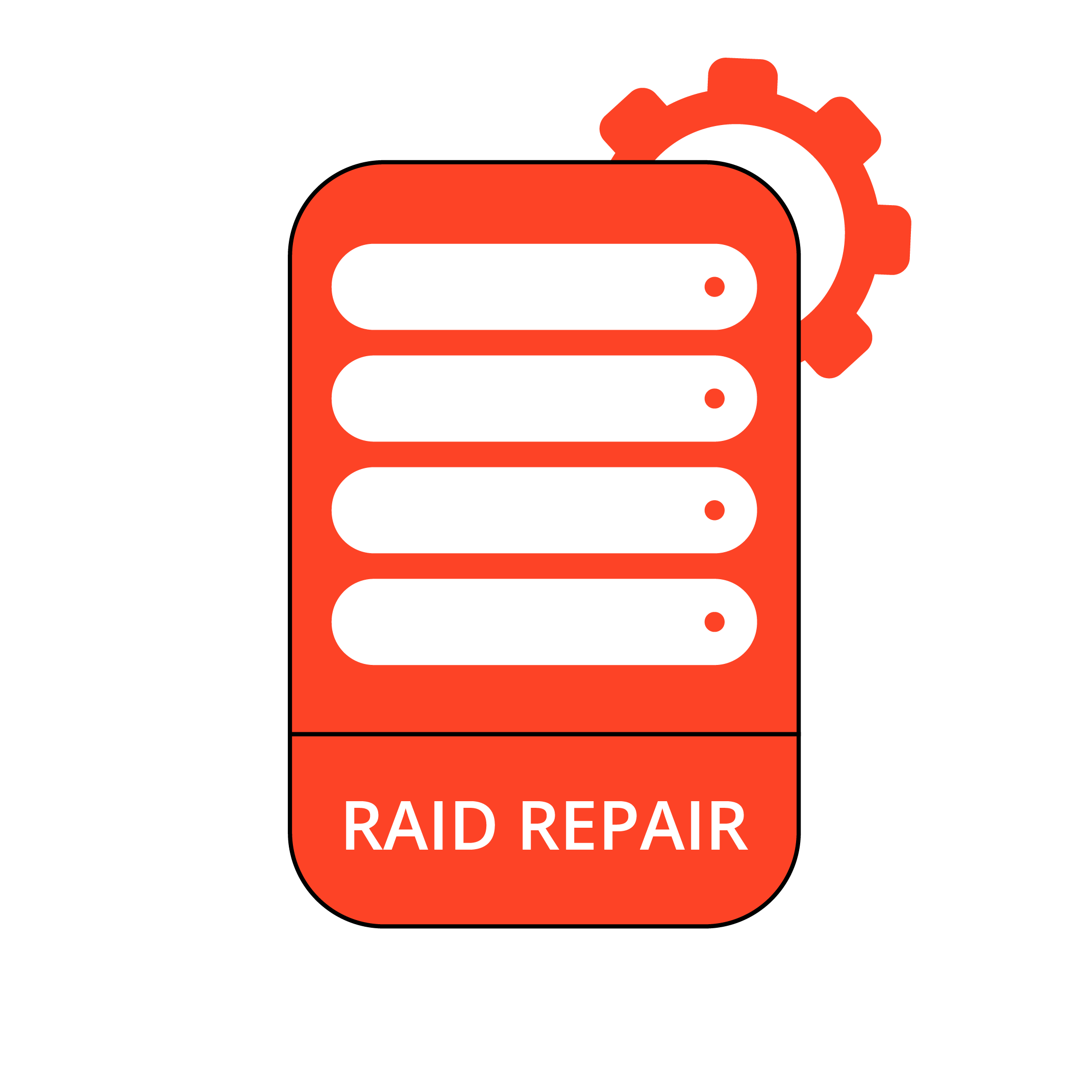 RAID Repair Services
