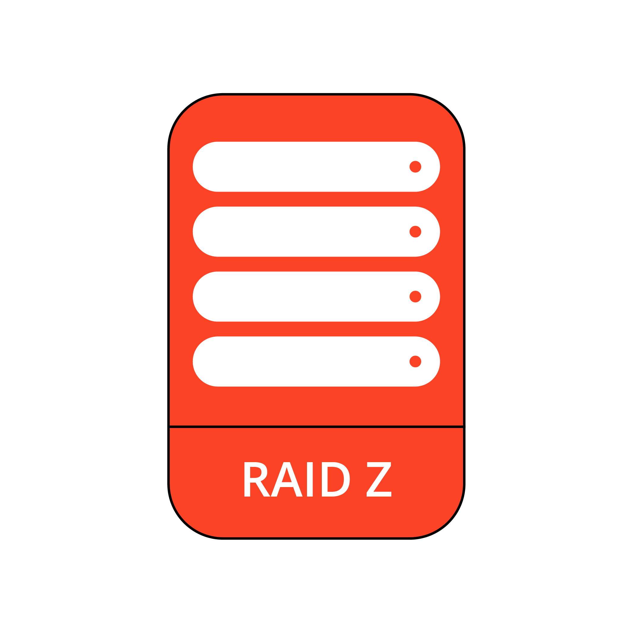 RAID Z Data Recovery
